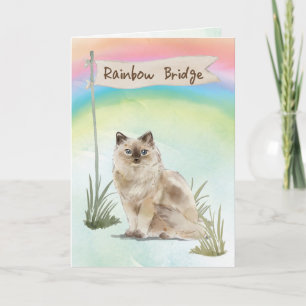 Carte Ragdoll Chat Animaux Sympathie sur Rainbow Bridge