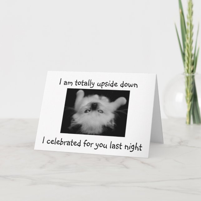 CARTE RAGDOLL KITTEN A TOTALEMENT PARTICIPÉ À 21E ANNIVE (Devant)