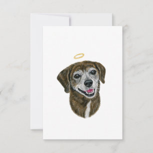 Carte Rainbow Chien Sympathy Card