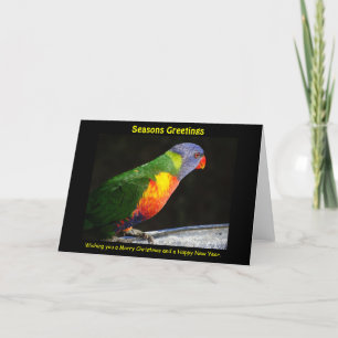 Carte Rainbow Lorikeet Xmas