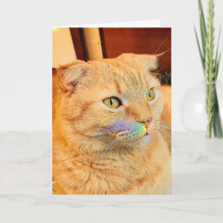 Carte Rainbow Mustache Skippy Blank Grey Card