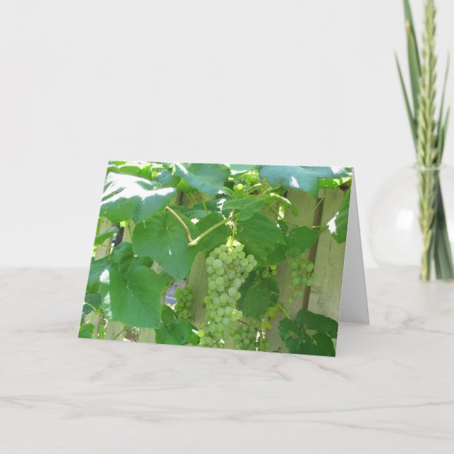 Carte Raisins blancs doux et juteux (Devant)