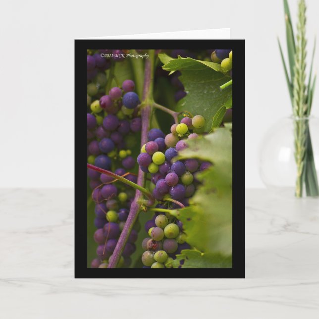 Carte Raisins colorés (Devant)