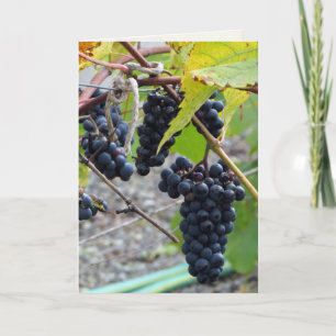 Carte Raisins dans une cave