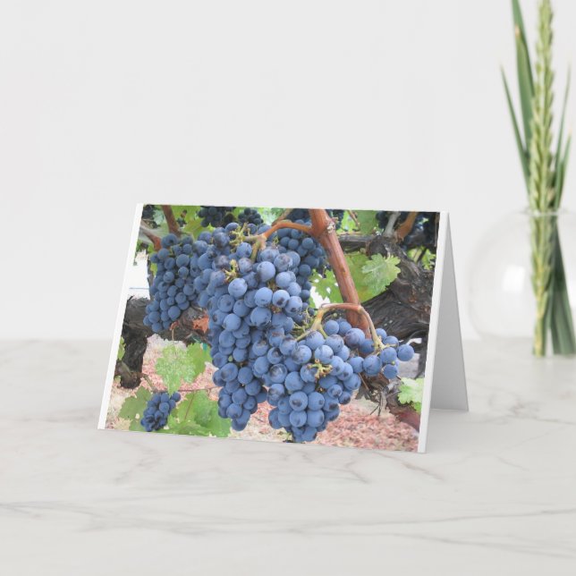 Carte Raisins de Napa Valley (Devant)