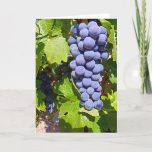 Carte Raisins de vignoble