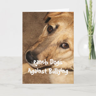 Carte Ranch Dogs