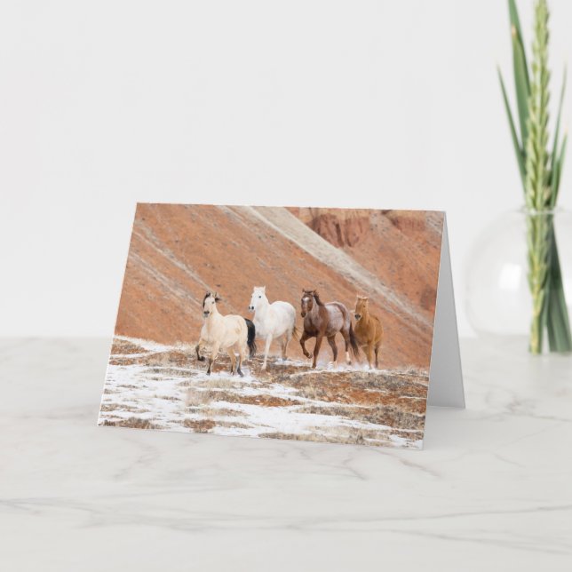 Carte  Ranch Hideout avec petit troupeau de chevaux dans (Devant)