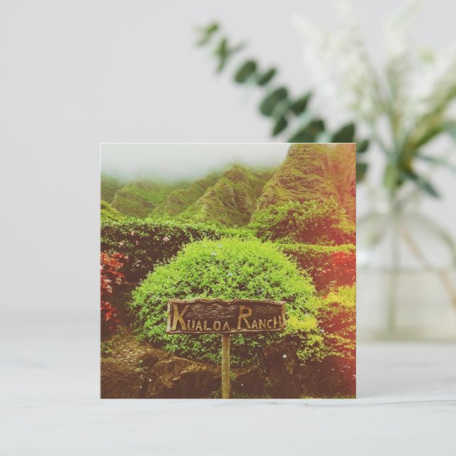 Carte Ranch Kualoa (Debout devant)