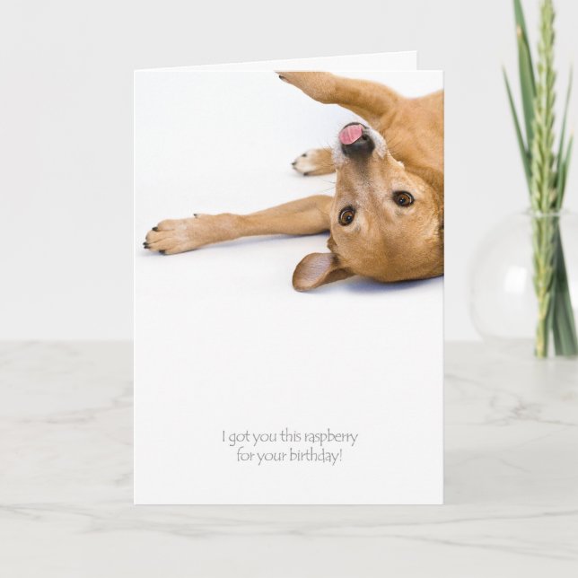 Carte Rasberry Dog (Devant)