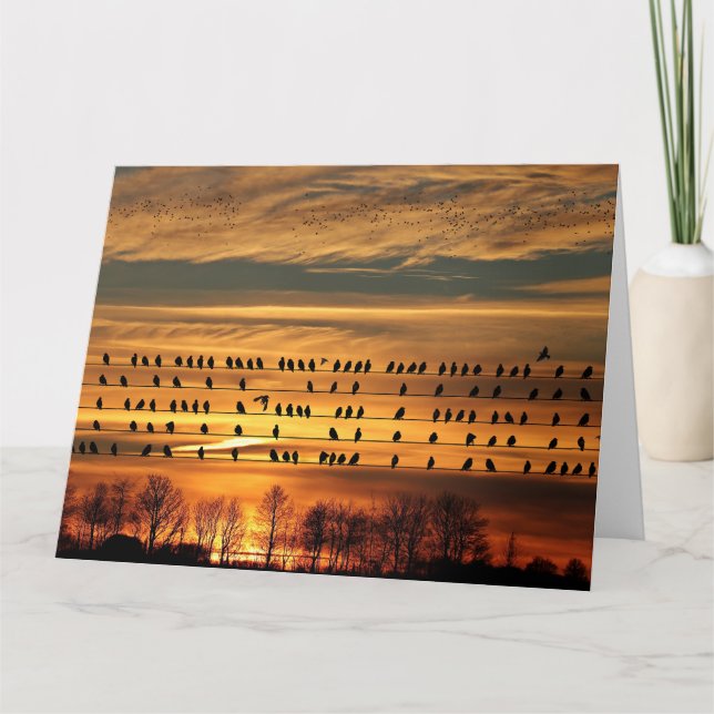 Carte Rassemblement des Starlings (Devant)