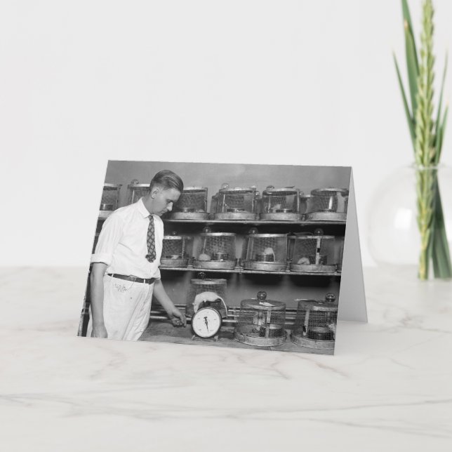 Carte Rat gras, années 1920 (Devant)