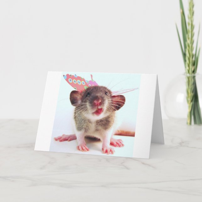 Carte Rat idiot de Flutterby (Devant)