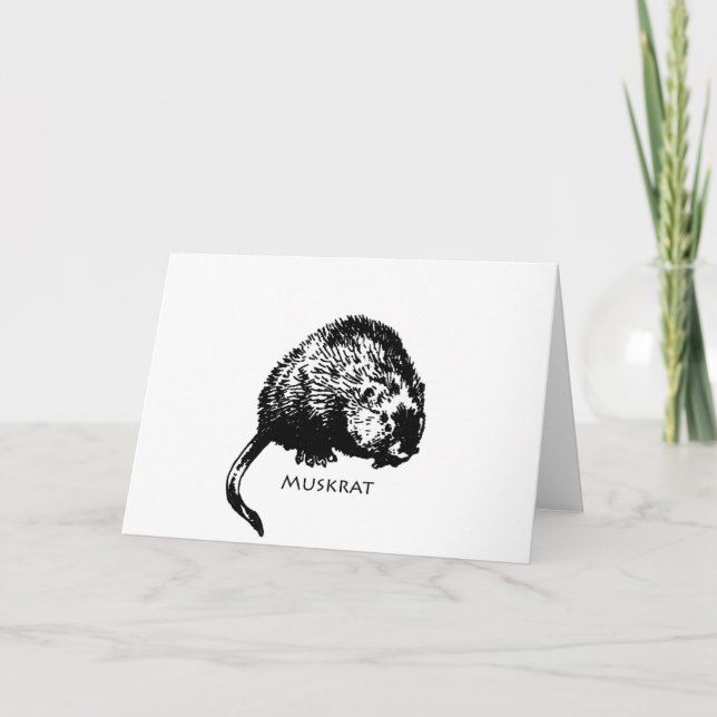 Carte Rat musqué (illustration) (Devant)