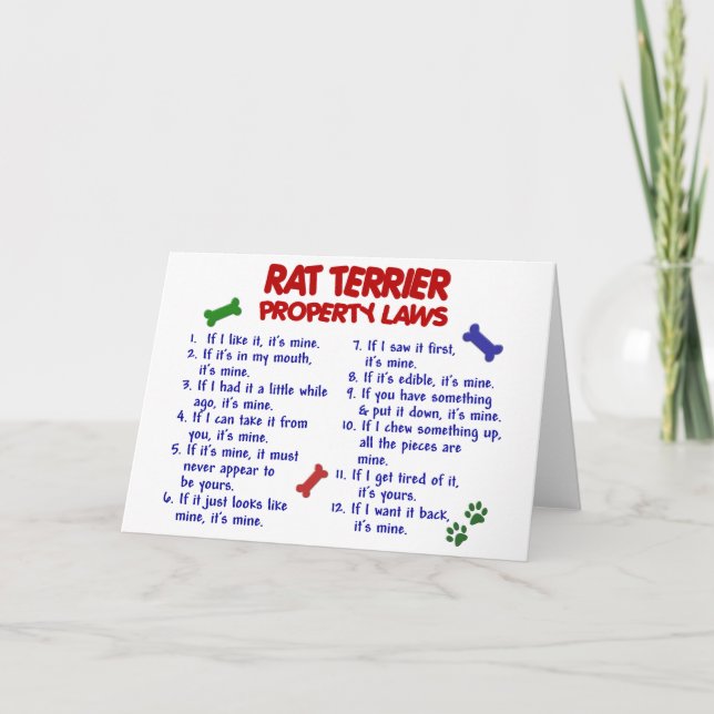 Carte RAT TERRIER, propriété Lois 2 (Devant)
