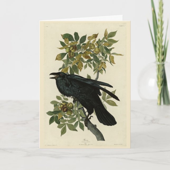 Carte Raven (Devant)