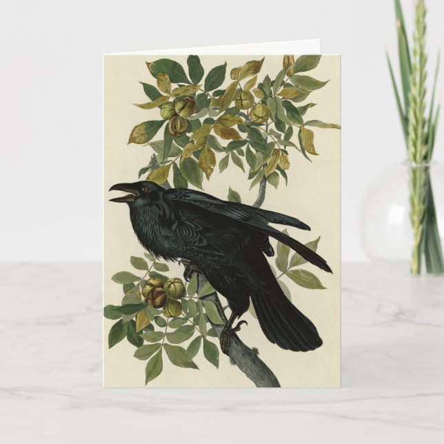 Carte Raven (Devant)