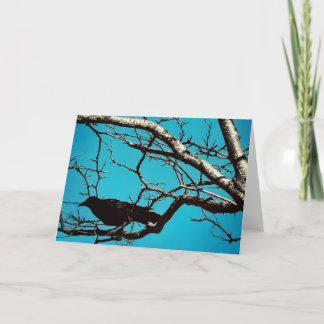 Carte Raven Crow Black Bird Silver Tree Blue Sky Photo