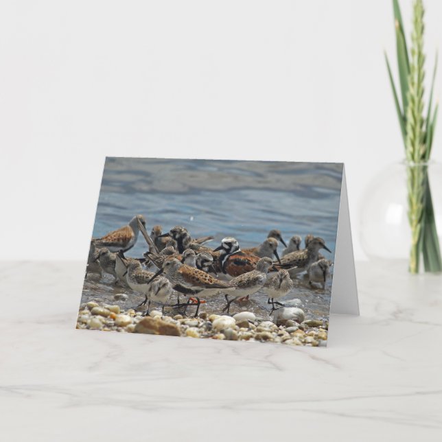 Carte Raviers de la côte atlantique : Baie Delaware (Devant)