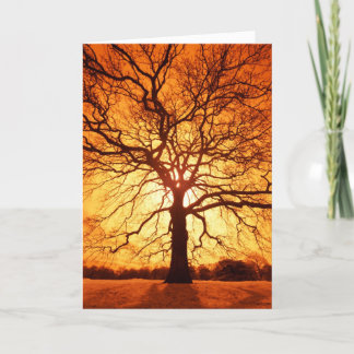 Carte Rayon de soleil