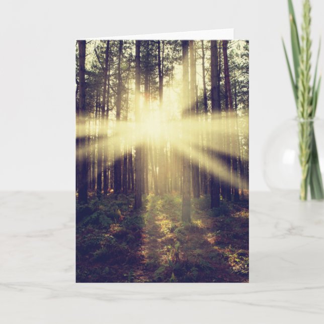 Carte Rayons de soleil de forêt (Devant)