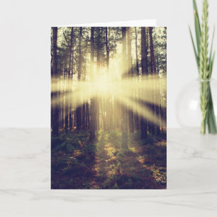 Carte Rayons de soleil de forêt