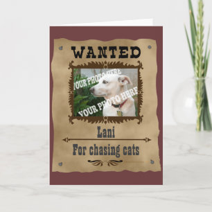 Carte Recherché Wild West Poster Animaux de compagnie Mo