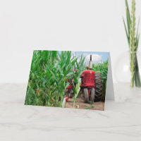 Red Farm Tractor dans un Cornfield Anniversaire
