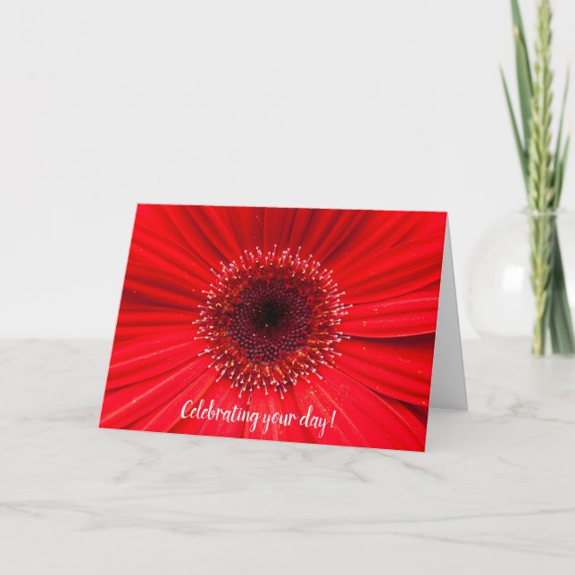 Carte Red Gerbera Daisy for birthday (Devant)