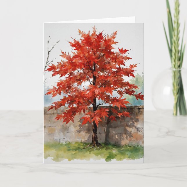 Carte Red Japanese Maple Study A (Devant)