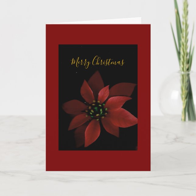 Carte Red Poinsettia Merry Christmas  (Devant)