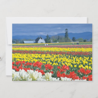 Carte Red Skagit Valley, Mount Rainier, Washington, État