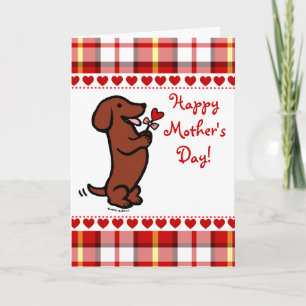 Carte Red Smooth Haired Dachshund