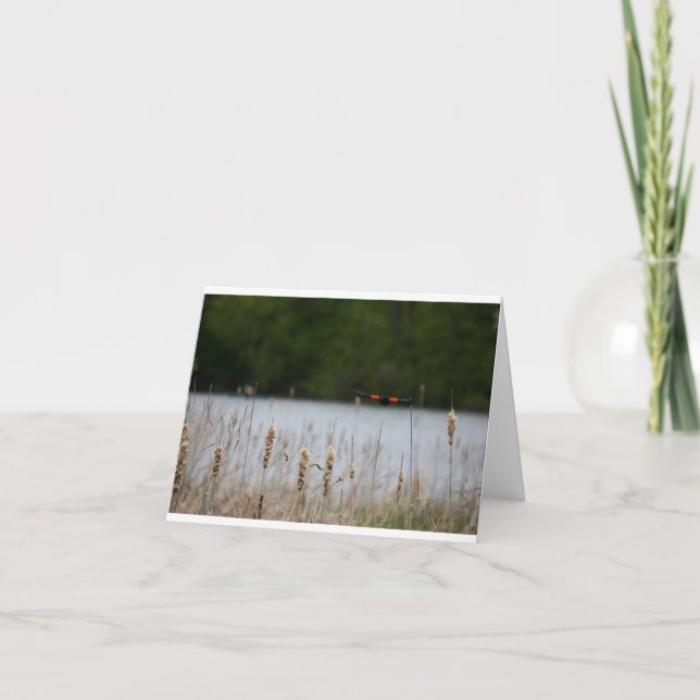 Carte Red Wing Black Bird Over (Devant)
