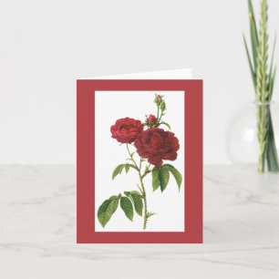 Carte Redoute Bishop