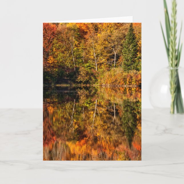 Carte Réflexion d'automne sur Coffin Pond (Devant)