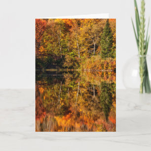 Carte Réflexion d'automne sur Coffin Pond