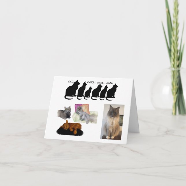 Carte Réflexion humoristique sur les chats (Devant)
