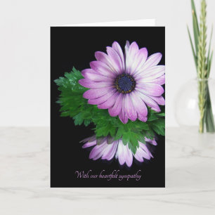 Carte réflexion marguerite violette sur la sympathie mir