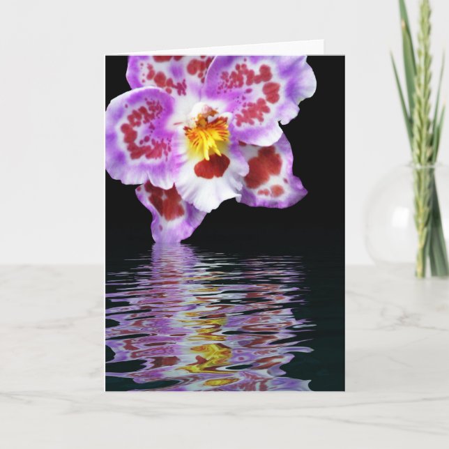 Carte Réflexion orchidée (Devant)