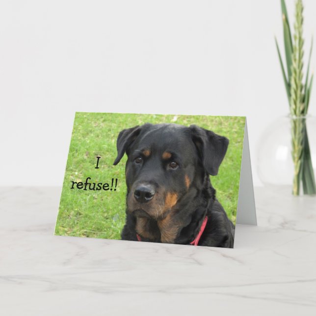 Carte Refuser Rottweiler Get Well Card (Devant)