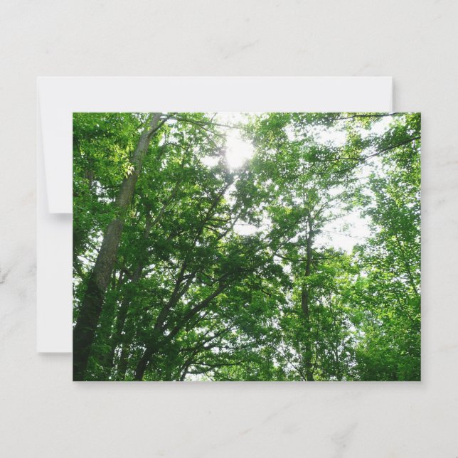 Carte Regard sur les arbres d'été (Devant)