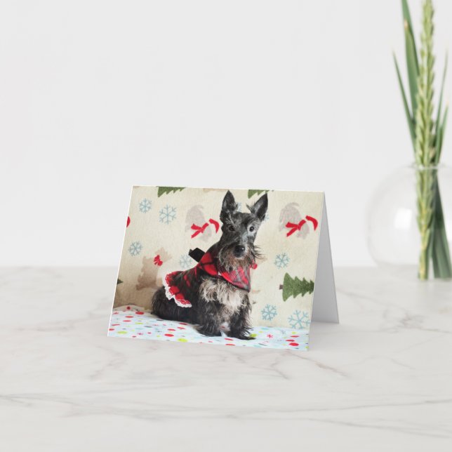 Carte Regardant pour Santa Paws (avec texte) (Devant)