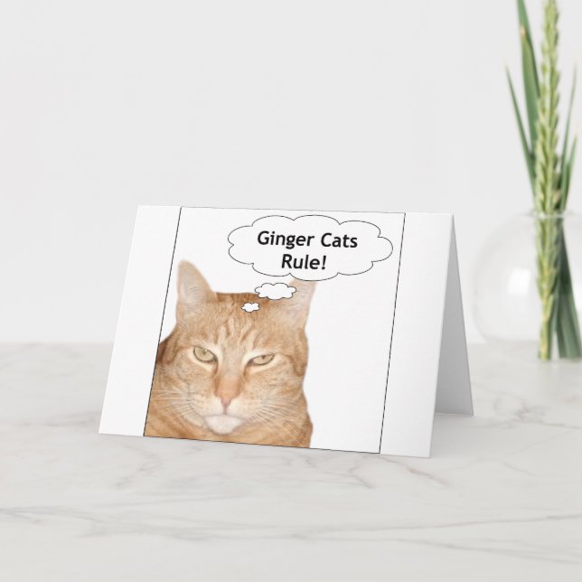 Carte Règle de chats de gingembre ! (Devant)