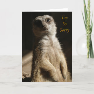 Carte Regret - je suis les excuses de SoSorry ou la