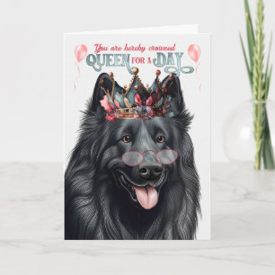 Carte Reine pour chien belge pour jour drôle Anniversair