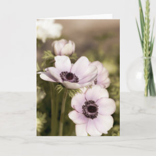 Carte Remarque sur les anémones violettes