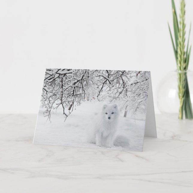 Carte Renard arctique (Devant)