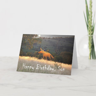 Carte Renard au clair de lune, Joyeux Fils d'anniversair