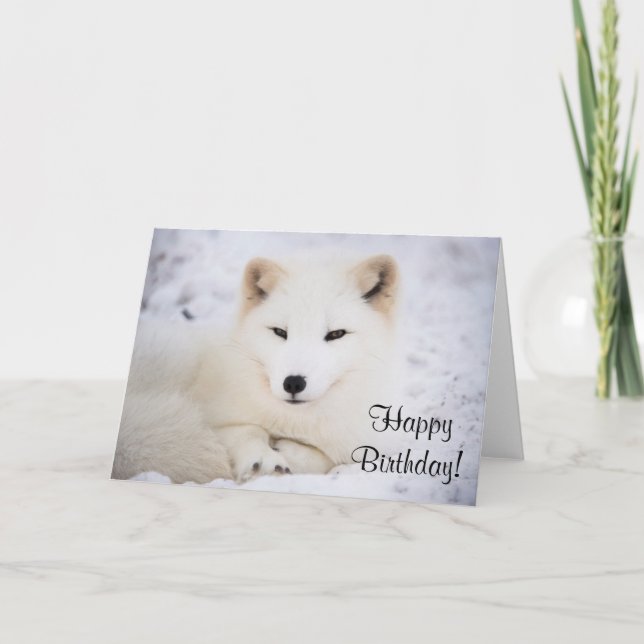 Carte Renard blanc arctique (Devant)